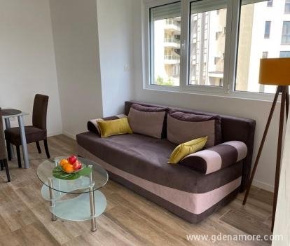 Olive Hill Apartments, private accommodation in city Rafailovići, Montenegro